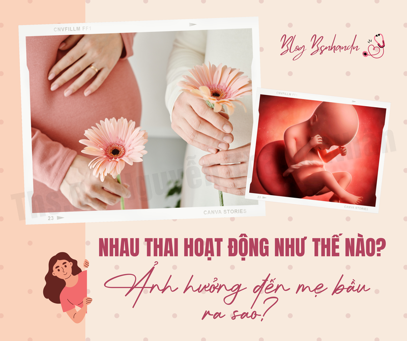 NHAU THAI HOẠT ĐỘNG NHƯ THẾ NÀO VÀ ẢNH HƯỞNG ĐẾN MẸ BẦU RA SAO?
