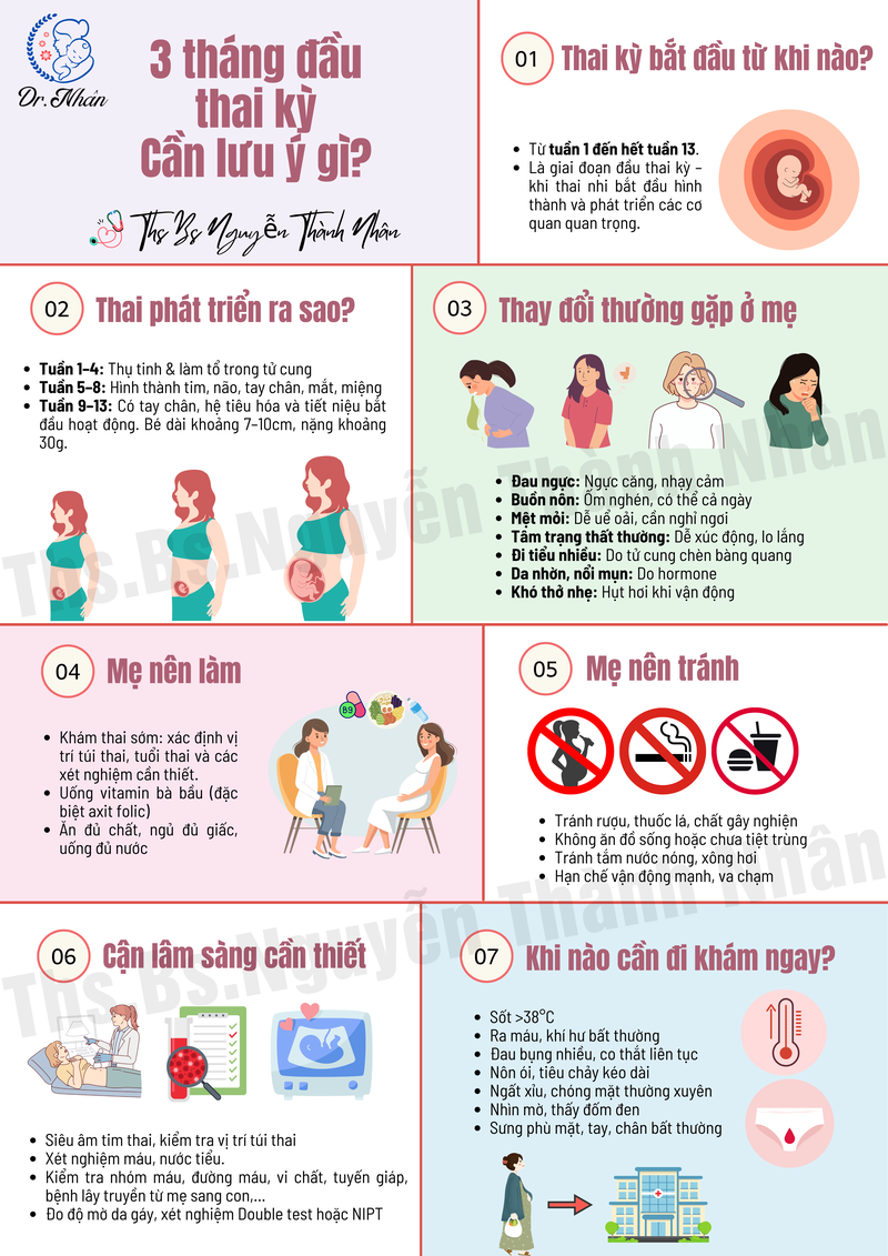 3 THÁNG ĐẦU THAI KỲ: CẦN LƯU Ý GÌ?